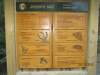 IMG_3684.jpg, 28kB